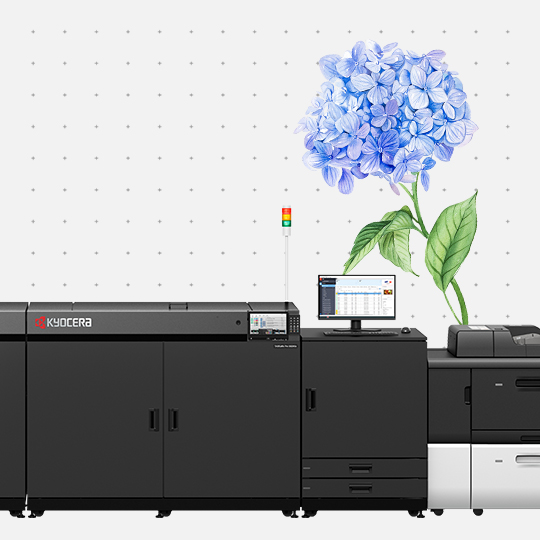 production print