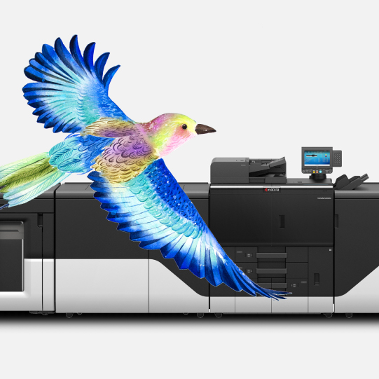 Production print
